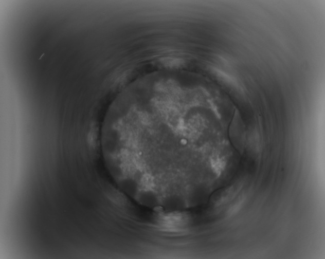 X0000094910181200712061056