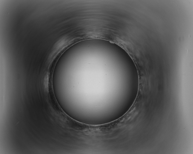 X0000094910194200712061056