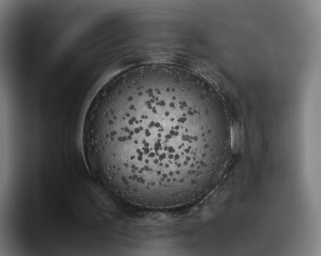 X0000094910195200712061056