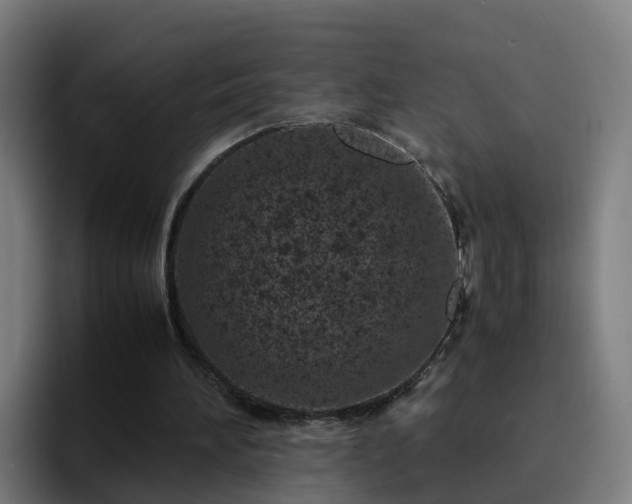 X0000094910196200712061056
