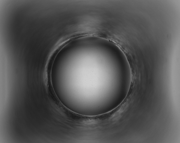 X0000094910198200712061055
