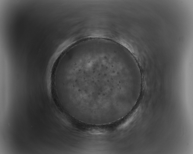 X0000094910199200712061055