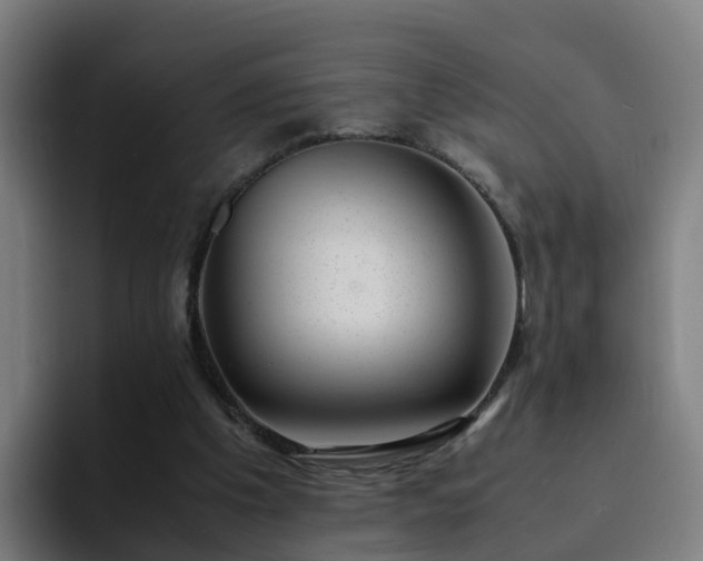 X0000094910201200712061055