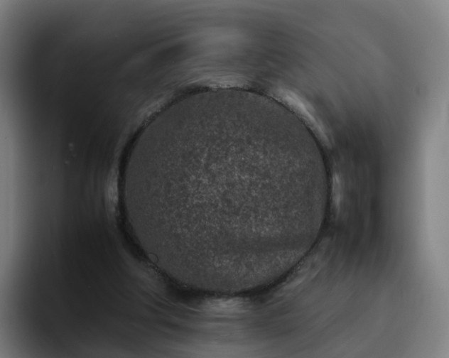 X0000094910202200712061055