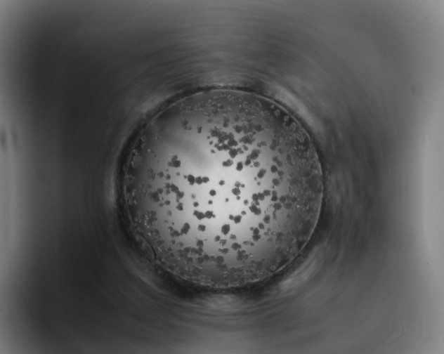 X0000094910203200712061055