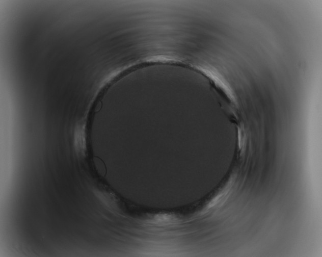 X0000094910204200712061055