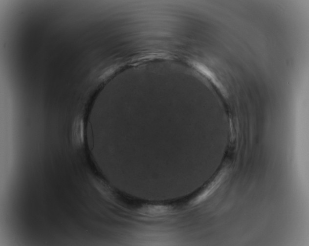 X0000094910205200712061055