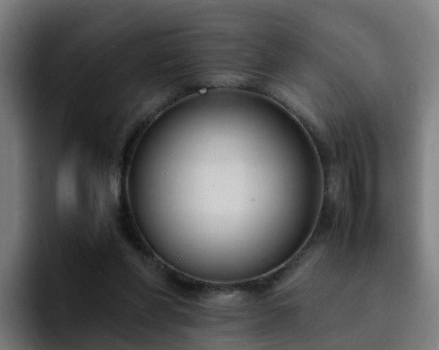 X0000094910206200712061055