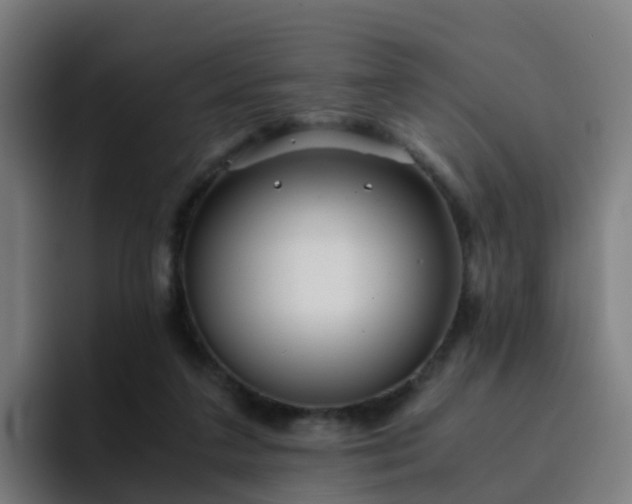 X0000094910211200712061055