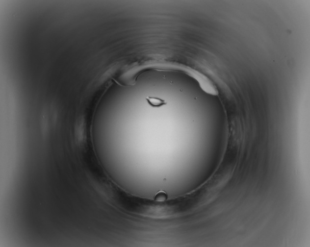 X0000094910212200712061055