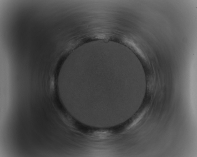 X0000094910213200712061055