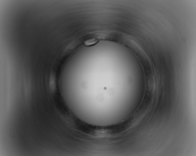 X0000094910216200712061055