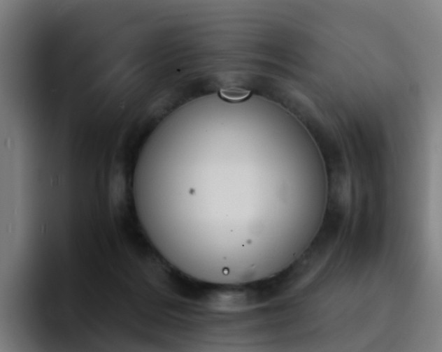 X0000094910220200712061055