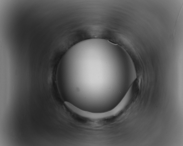 X0000094910221200712061055