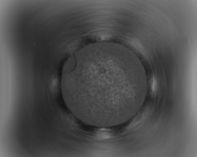 X0000094910222200712061055