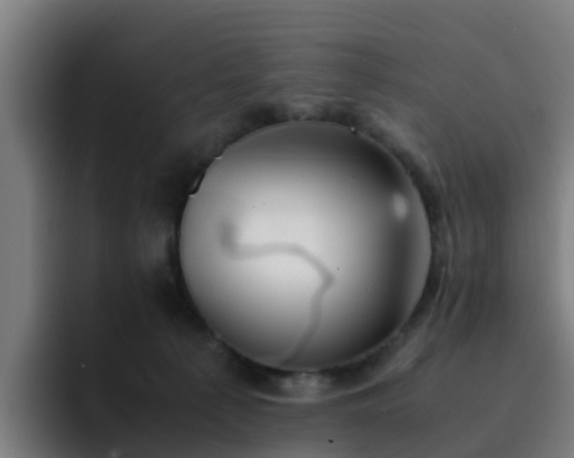 X0000094910225200712061055