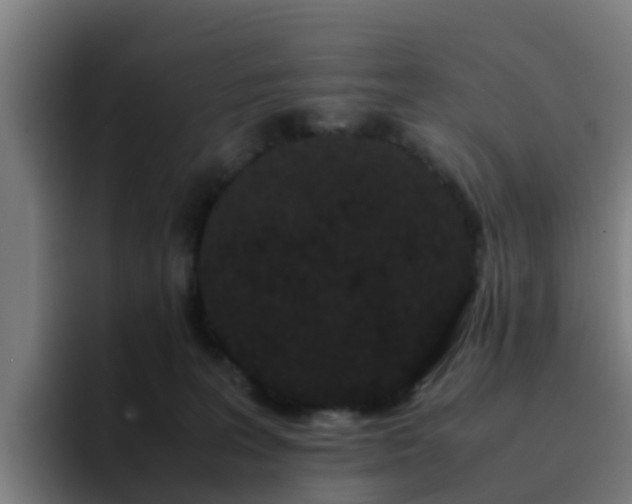 X0000094910227200712061055