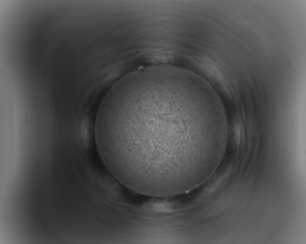 X0000094910228200712061055