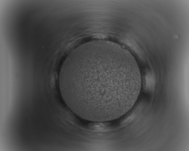 X0000094910229200712061055