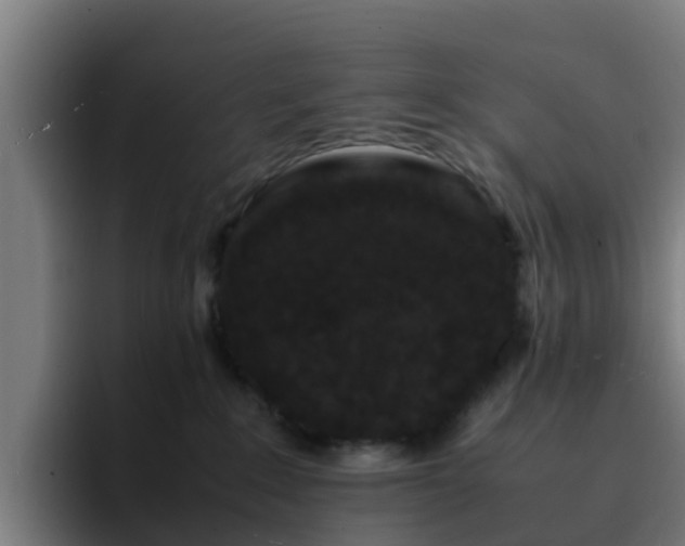 X0000094910235200712061055