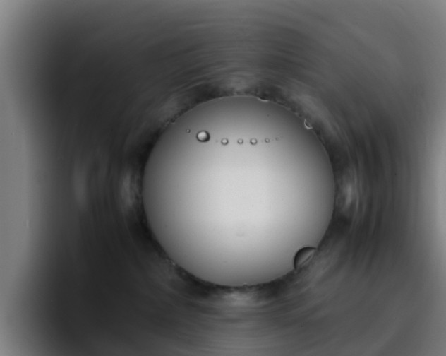 X0000094910236200712061055