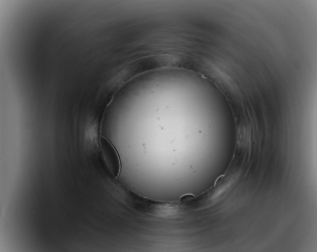 X0000094910238200712061055