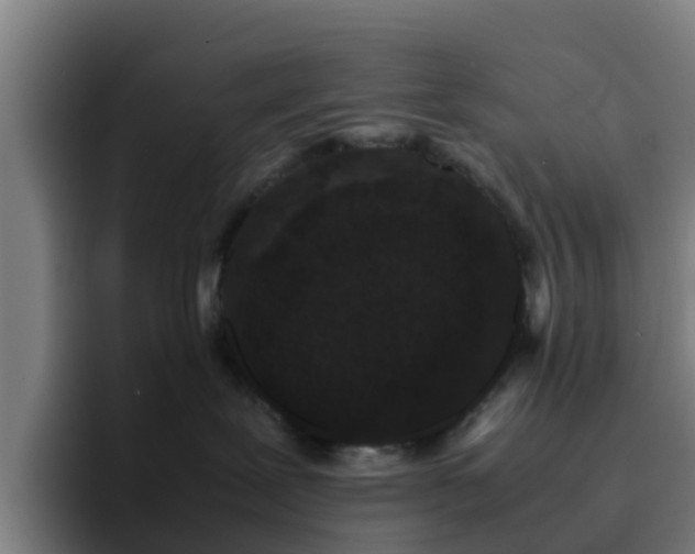X0000094910239200712061055