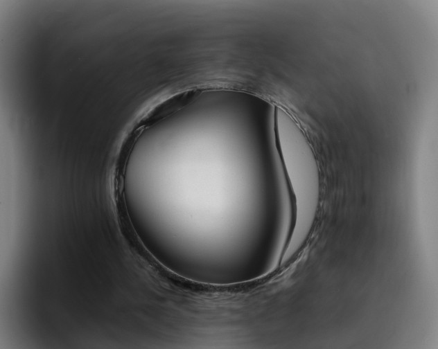 X0000094910244200712061054