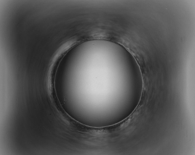 X0000094910245200712061054
