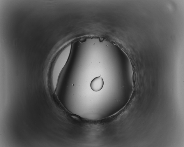 X0000094910247200712061054