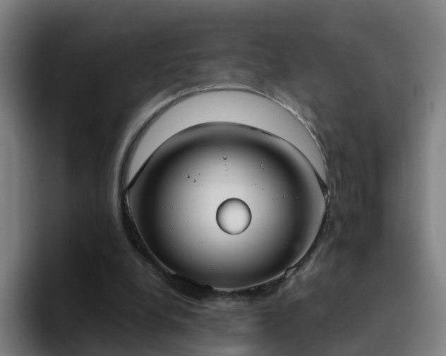 X0000094910248200712061054