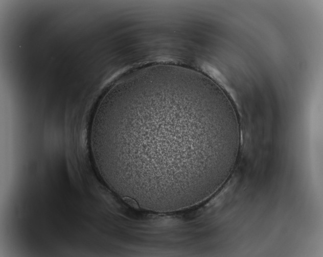 X0000094910249200712061054