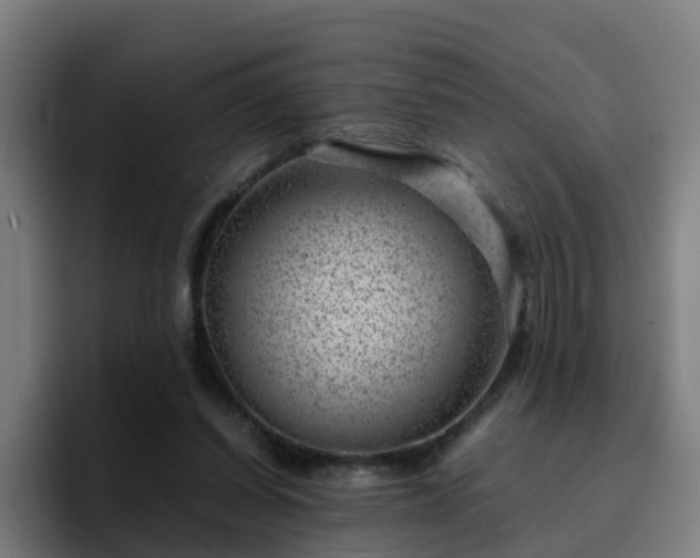 X0000094910254200712061054
