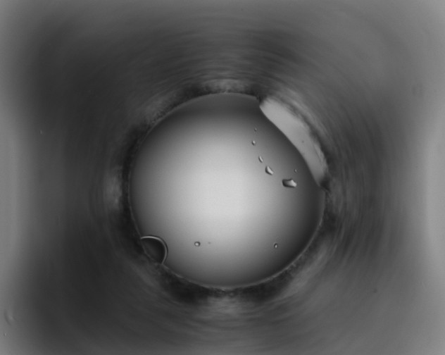 X0000094910259200712061054