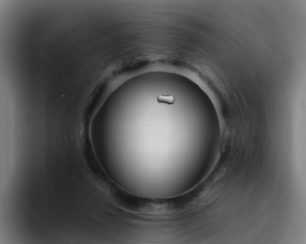 X0000094910260200712061054