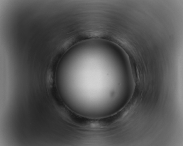 X0000094910264200712061054