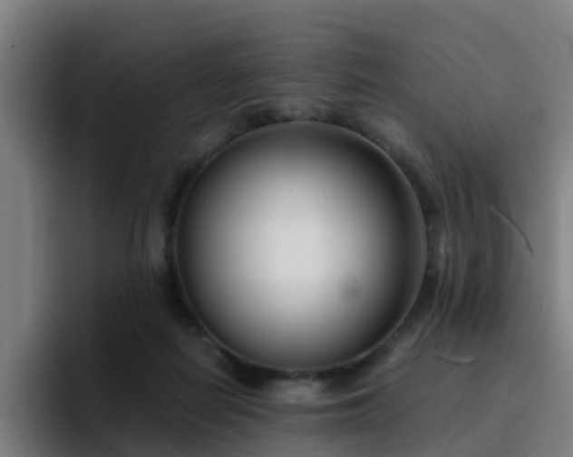 X0000094910266200712061054