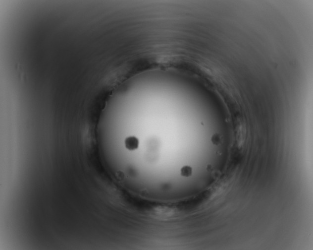 X0000094910272200712061055