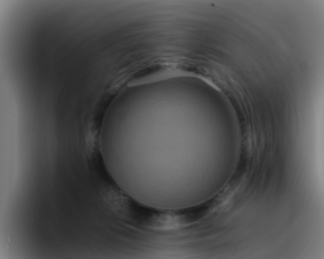 X0000094910276200712061055