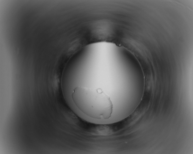 X0000094910279200712061055