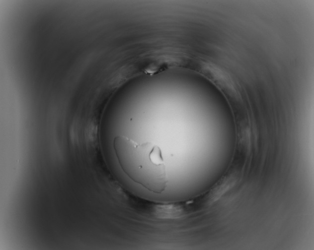 X0000094910281200712061055