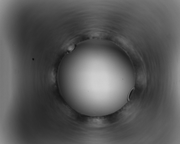 X0000094910282200712061055