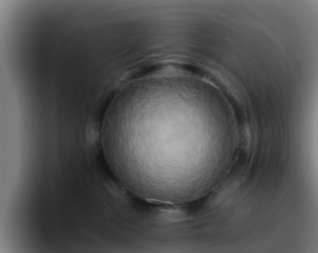 X0000094910284200712061055