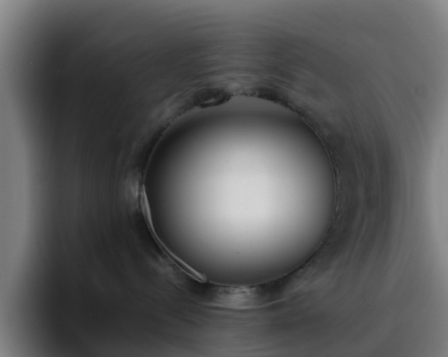 X0000094910288200712061055