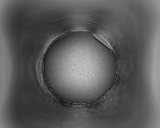 X0000094910289200712061054