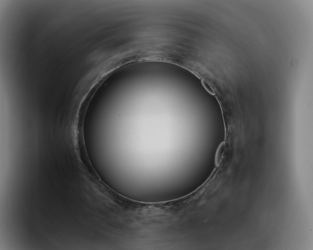 X0000094910290200712061054