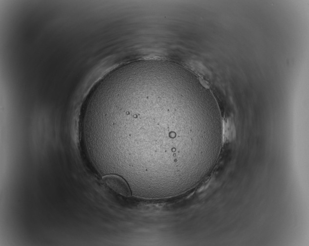 X0000094910291200712061054
