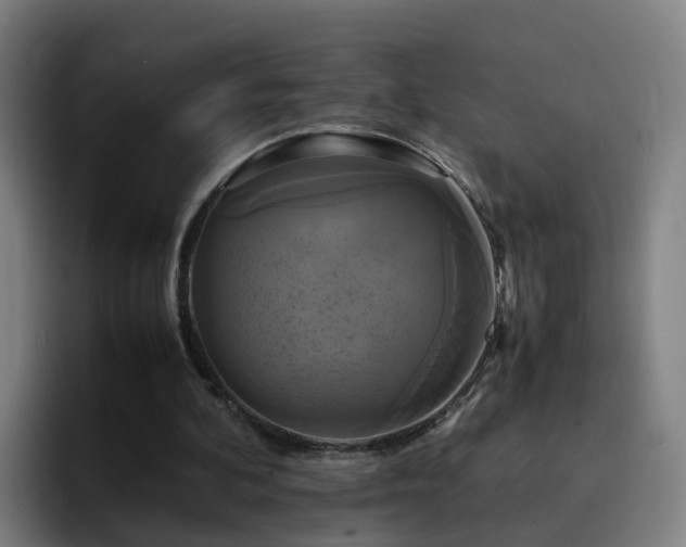 X0000094910292200712061054