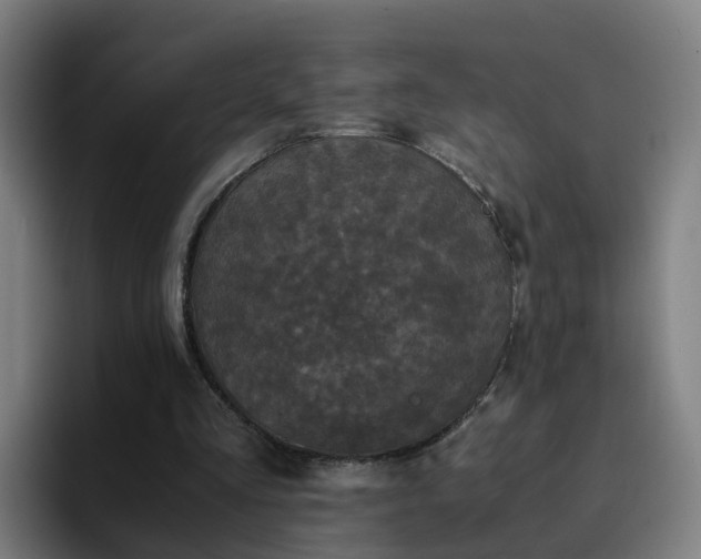 X0000094910293200712061054