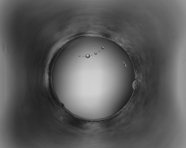X0000094910294200712061054